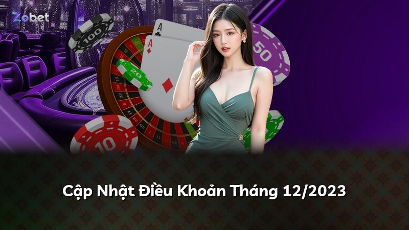 Cập Nhật Điều Khoản Tháng 12/2023