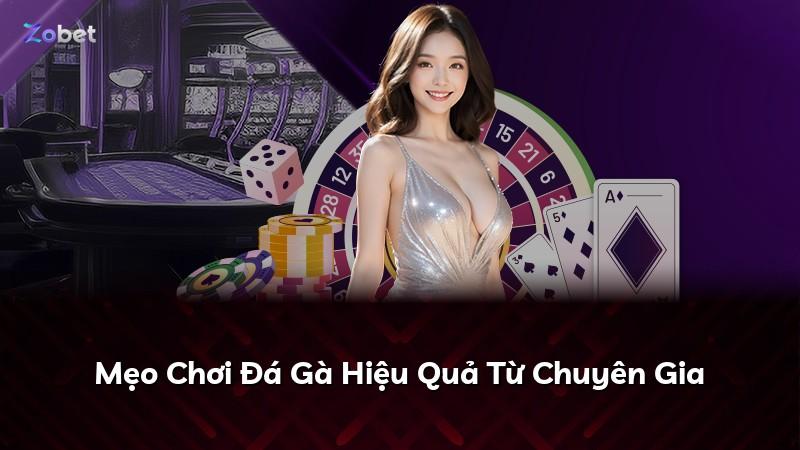 Mẹo Chơi Đá Gà Hiệu Quả Từ Chuyên Gia