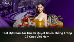 Tool Dự Đoán Xóc Đĩa: Bí Quyết Chiến Thắng Trong Cá Cược Việt Nam